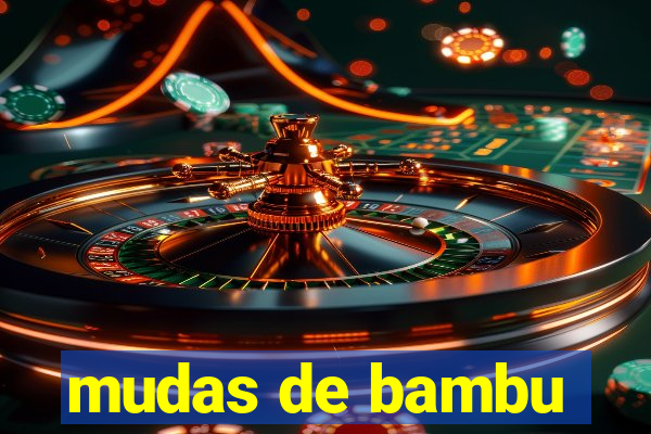 mudas de bambu